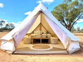 Mungo Roo Bunkhouse and Glamping, Dingo